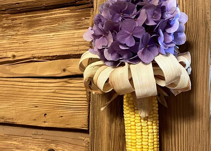 Kuscheliges Kellerstoeckel Im Schilcherland بيت للعطل دويتشلاندزبرغ